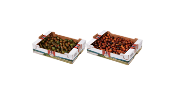 Nye tomatsorter fra Hanasand Gård - nå på kampanje