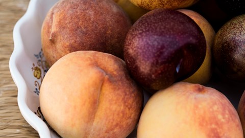 Pluot, aprikos, nektarin og fersken fra Zani i Italia