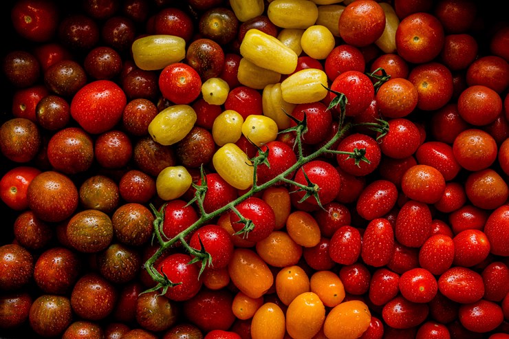 Vår Kort & Godt-serie 