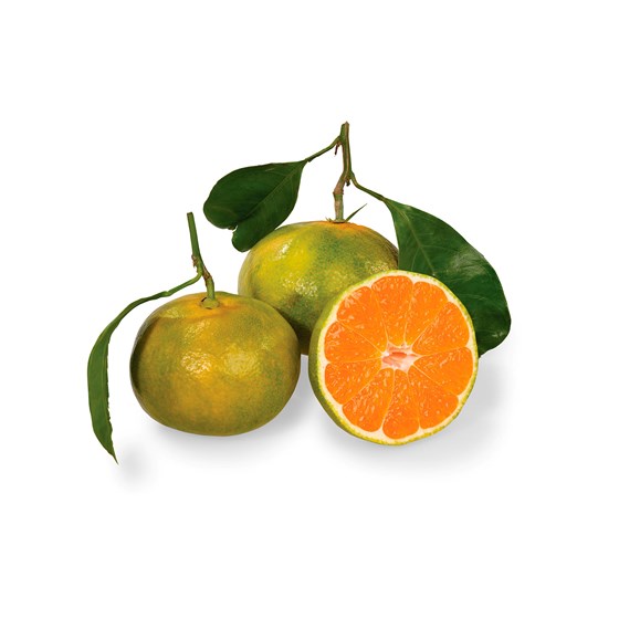 KLEMENTIN MIYAGAWA GRØNN 4 KG