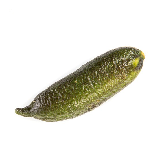 Fingerlime grønn kg