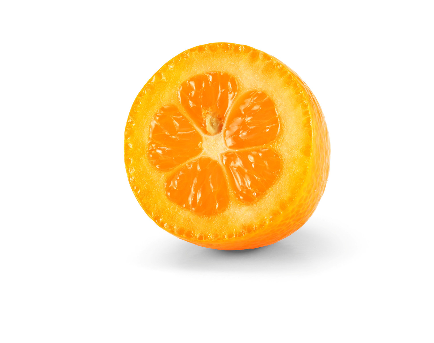 Kumquat kg