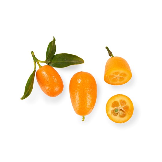 Kumquat viltvoksende kg