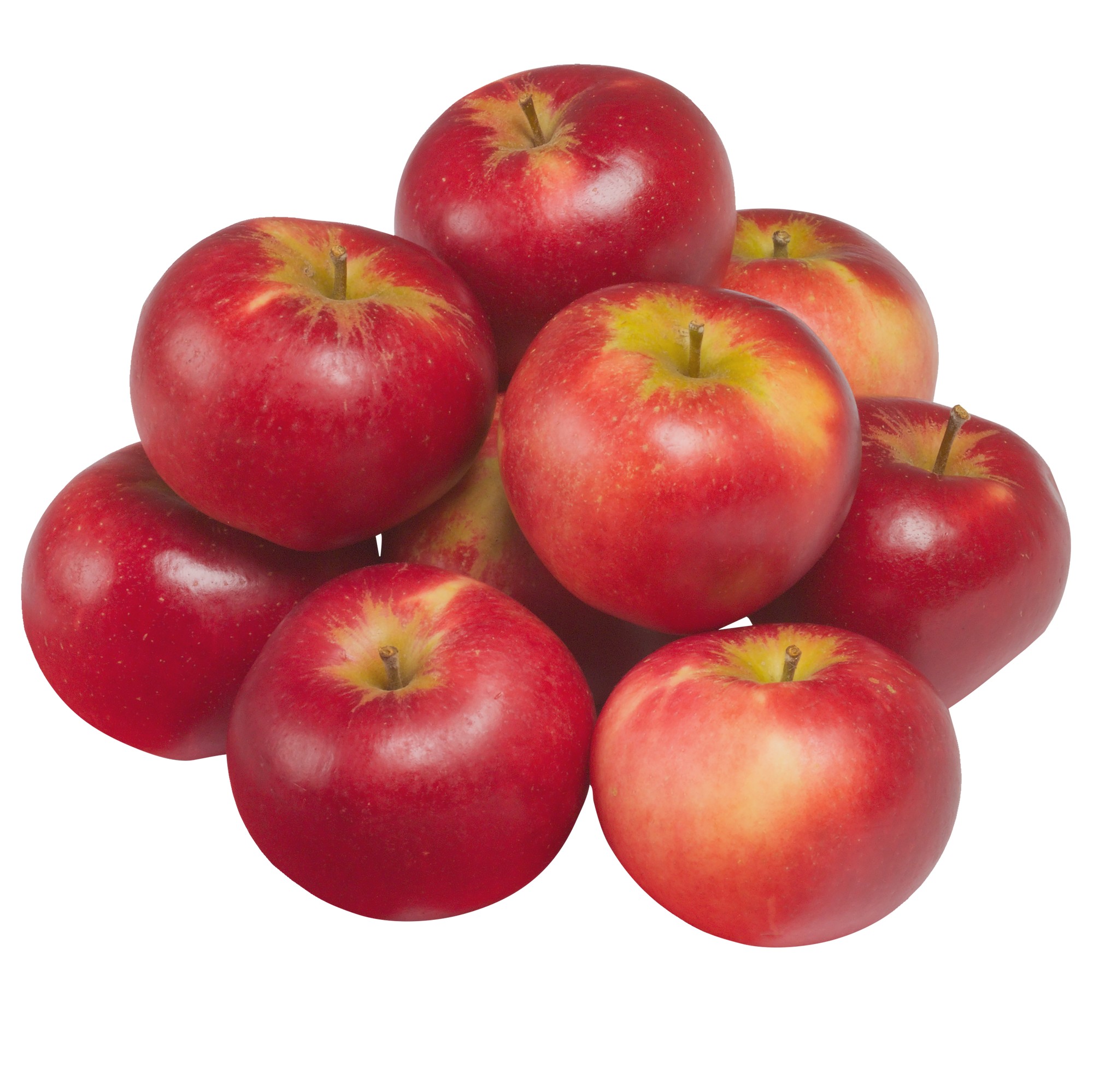 Eple Royal Gala str 70 - 75