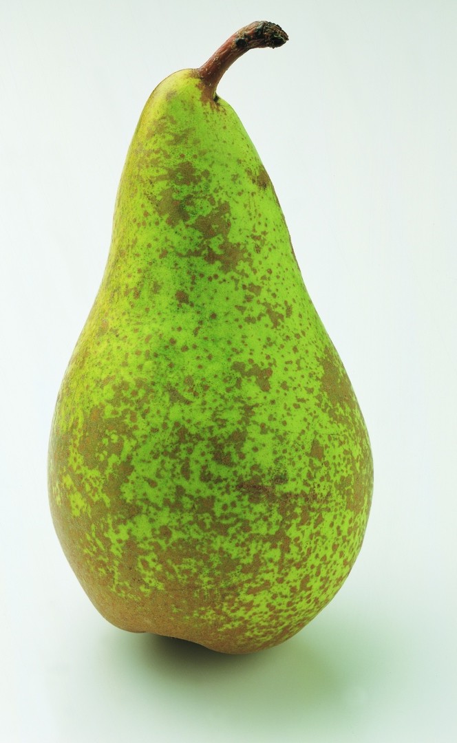 Pære stk