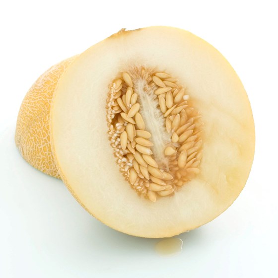 Melon Galia