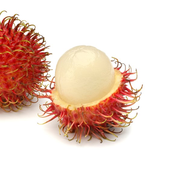 Rambutan