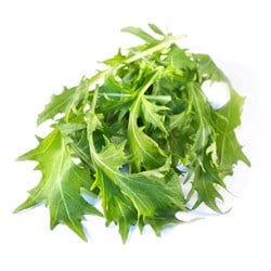 BABY LEAVES MIZUNA PK