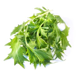 BABY LEAVES MIZUNA PK