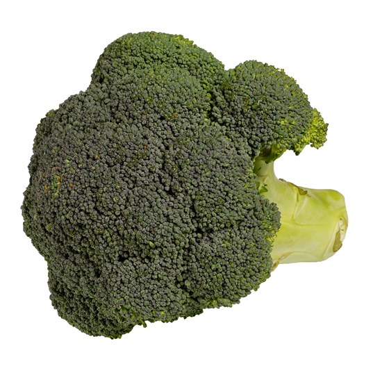 BROKKOLI TERNET 15x20MM 1 KG