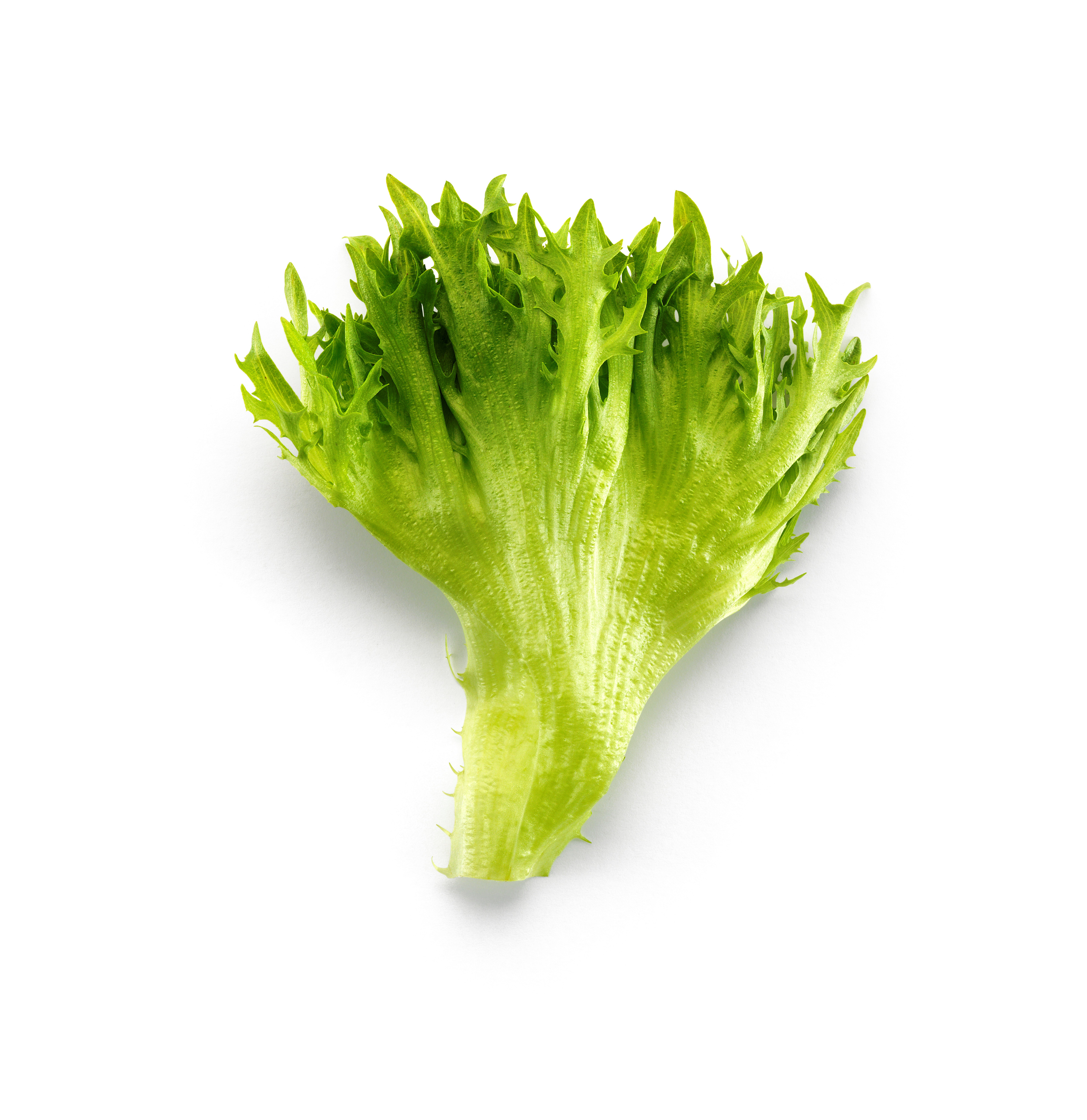 CRISPI BLADER VASKET 400 G