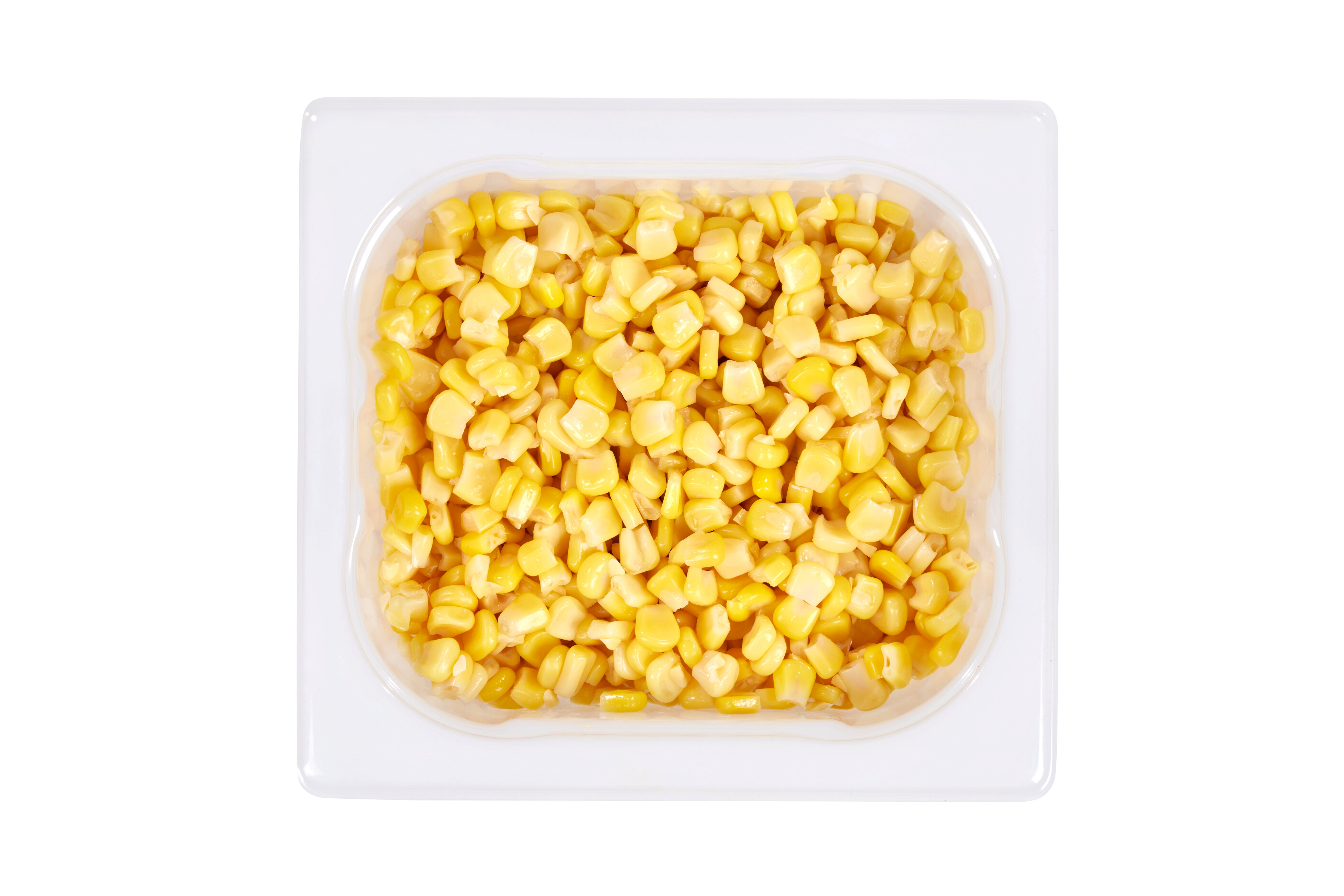 MAIS 1/6 GN 800G SB
