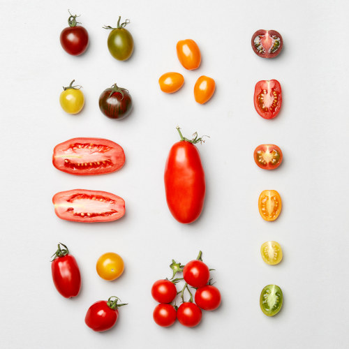 Kort & Godt Historiske tomater