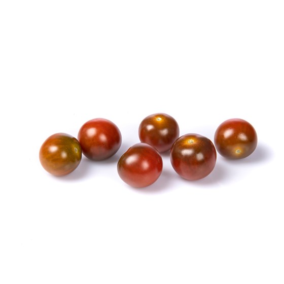 Tomat Cherry Sjokolade Norsk