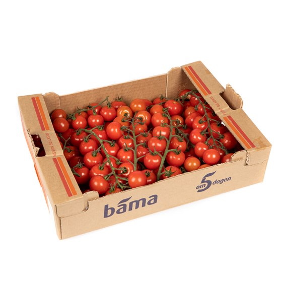 Tomat Cherry klase 3 kg Norsk