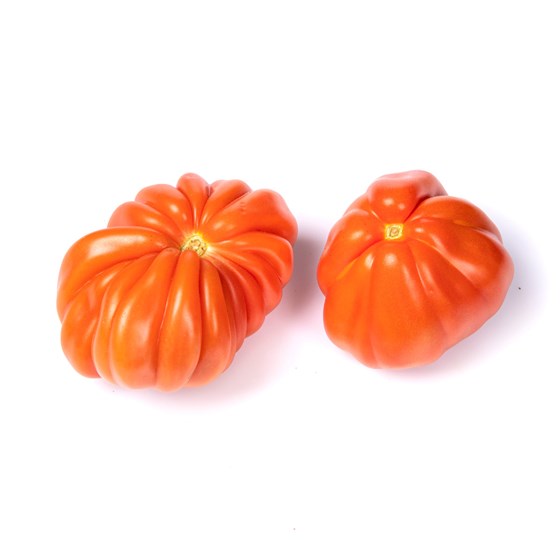 TOMAT AUREA 5 KG LØS NO