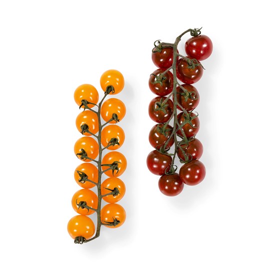 GUL/BRUN CHERRY KLASE DELISSIMA 1 KG