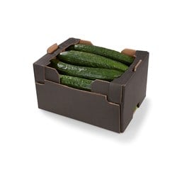 LAVPRIS AGURK 10 KG.