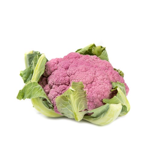 BLOMKÅL LILLA