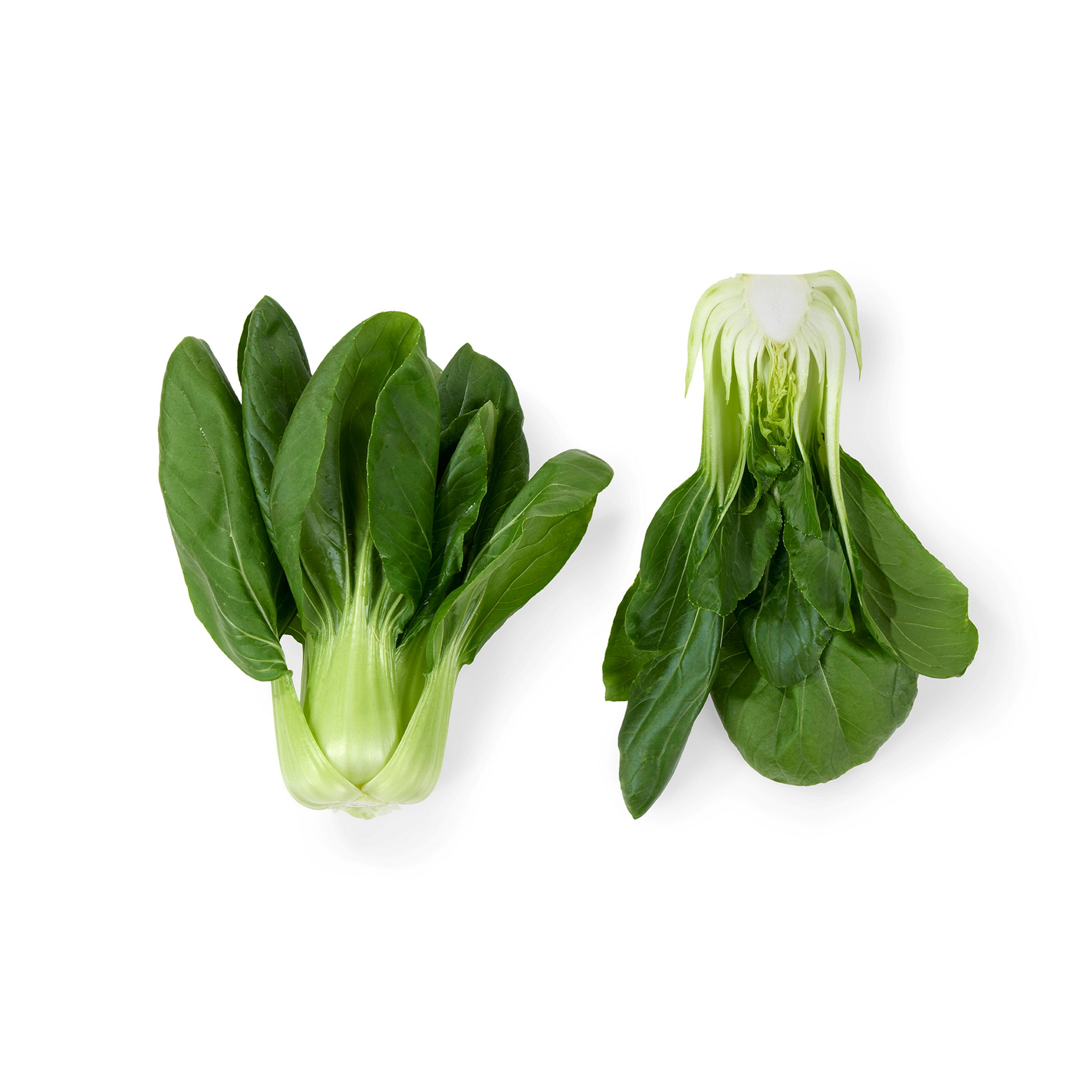 PAK CHOY MINI VEKSTH 6x4PK 500