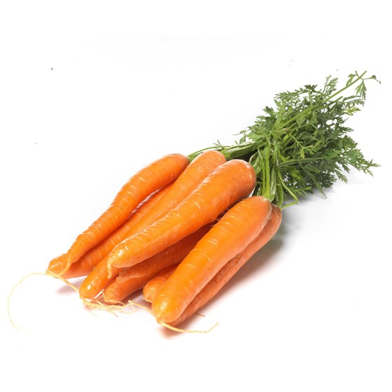 GULROT ØKOLOGISK STK