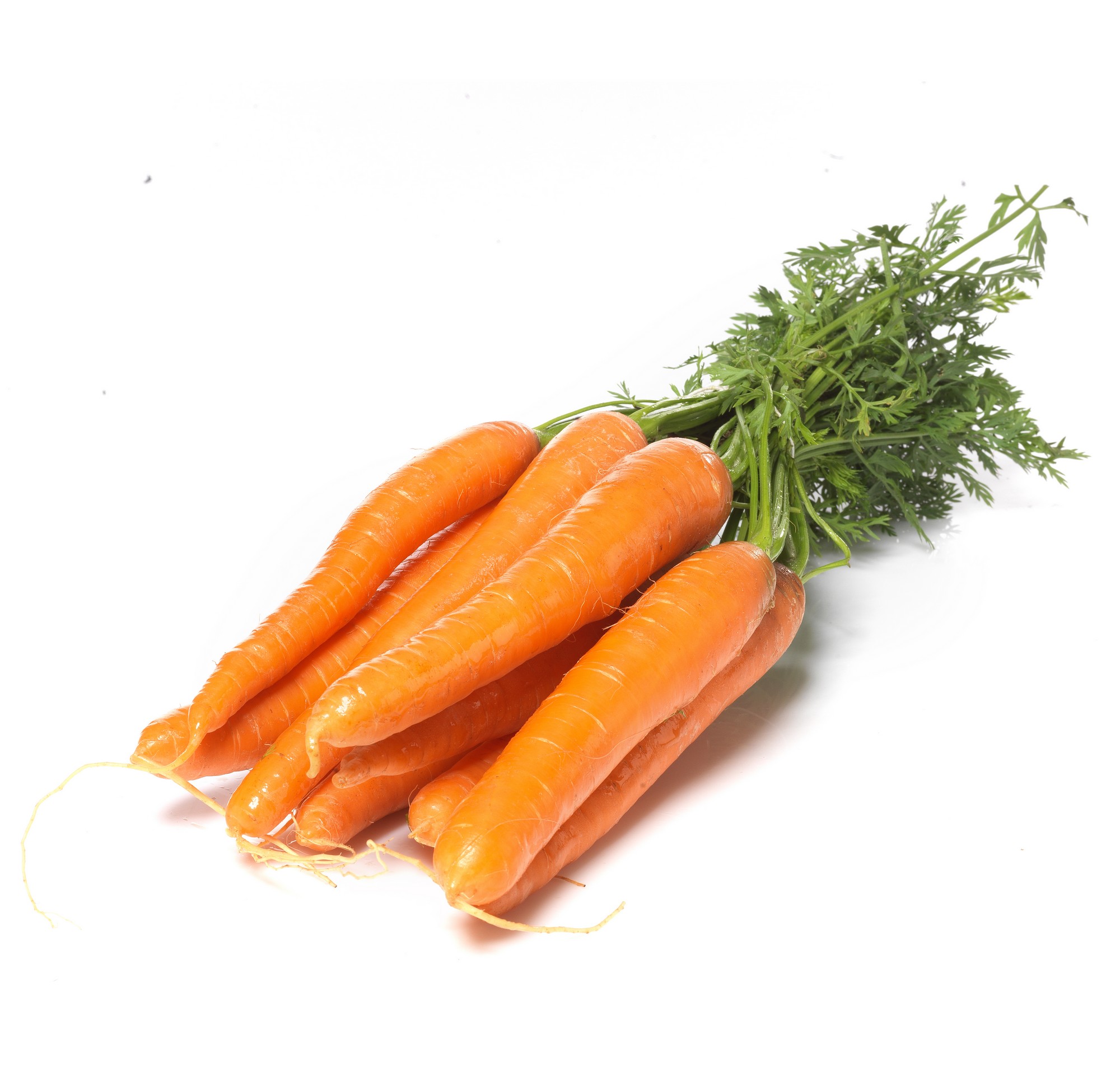 Gulrot Norsk bunt