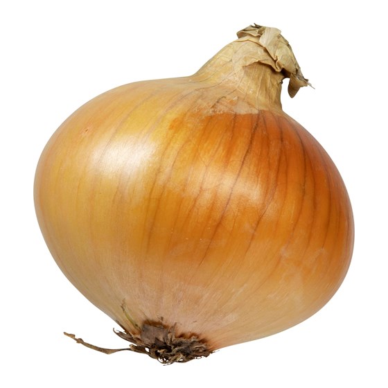 LØK 5 KG.