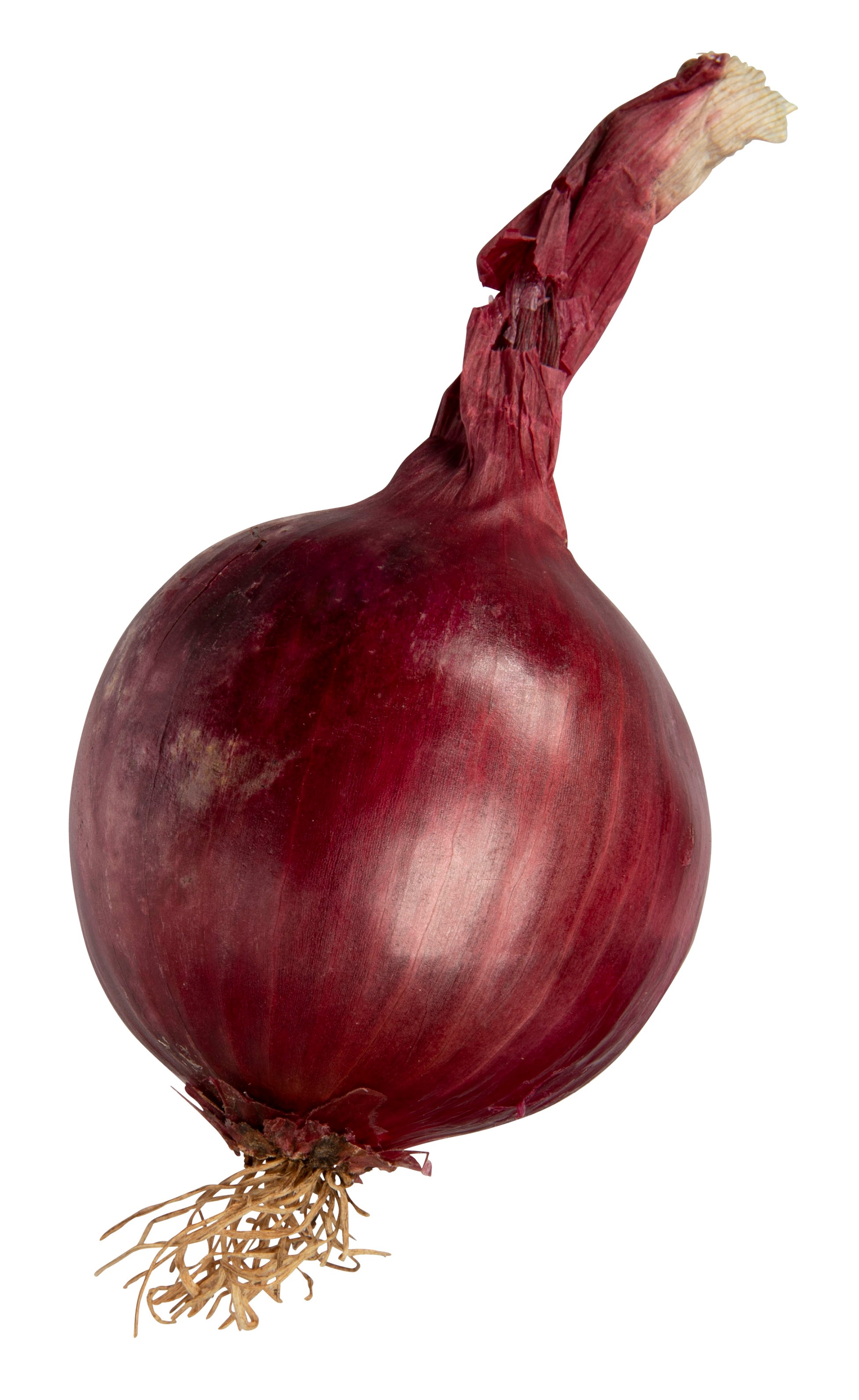 Rødløk økologisk 2 kg