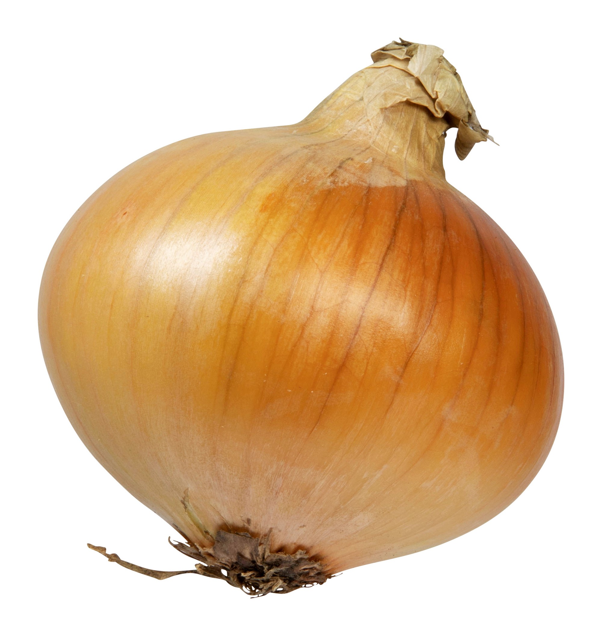 Gul løk økologisk 2 kg