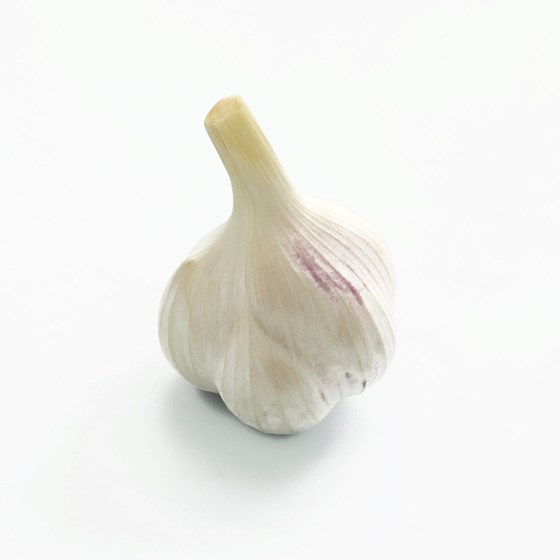 HVITLØK LØS