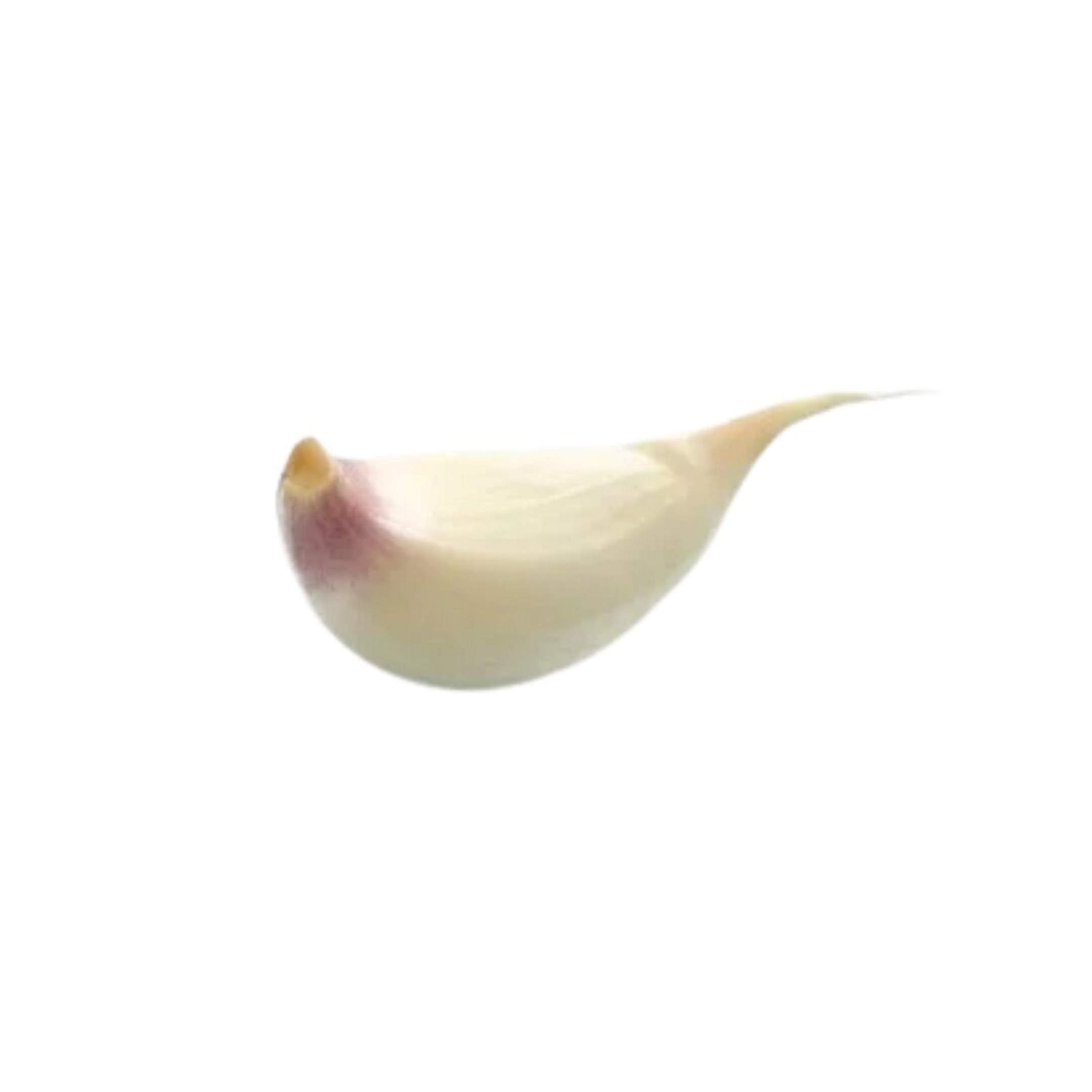 HVITLØK RENSET 1KG PAKKE