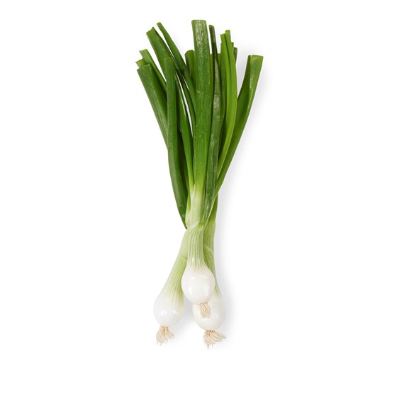 Skjærgårdsløk Gul Bunt 8 stk