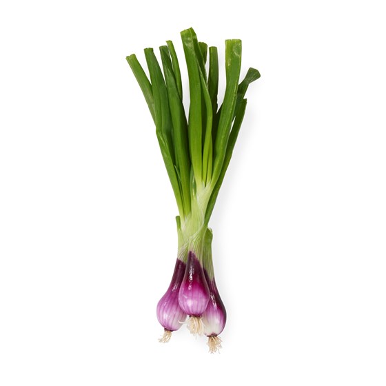 Skjærgårdsløk Rød Bunt 8 stk