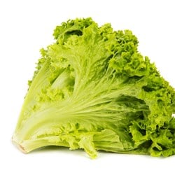 SALAT LOLLO GRØNN PK 500 GR