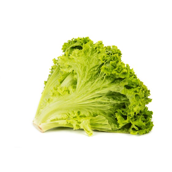 SALAT LOLLO GRØNN PK 500 GR