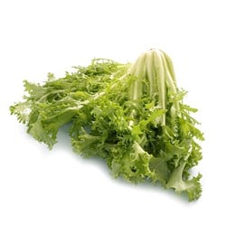 GUL FRISEESALAT PAKKET