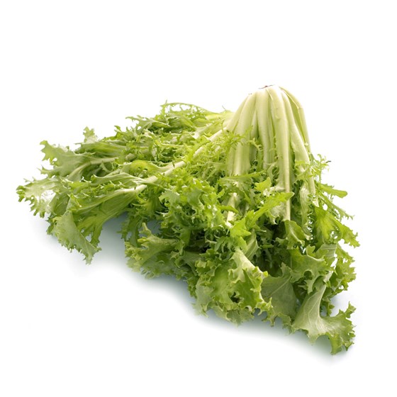 Gul Frisée salat