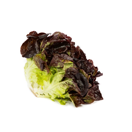 SALAT EKEBLAD RØD PK 500 GR