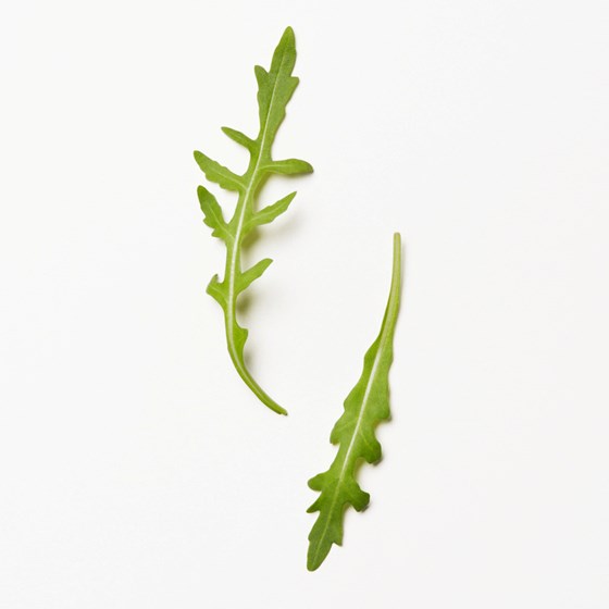 SALAT RUCCULA 200 GR. FLOWPACK