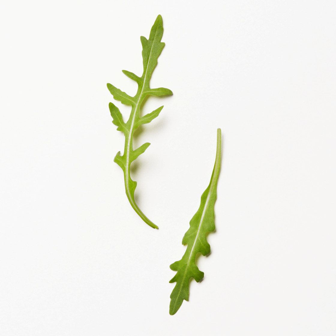 SALAT RUCCULA 200 GR. FLOWPACK