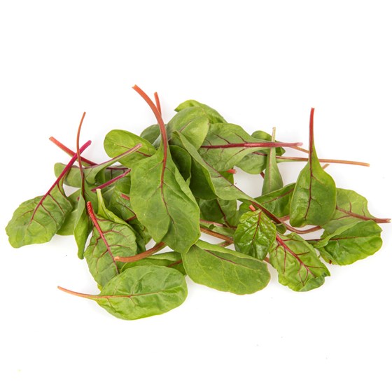 BABYLEAVES RHUBARB RØD PK
