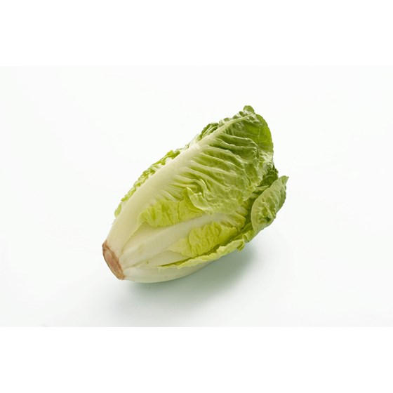 LAVPRIS SALAT HJERTESALAT 1,5K