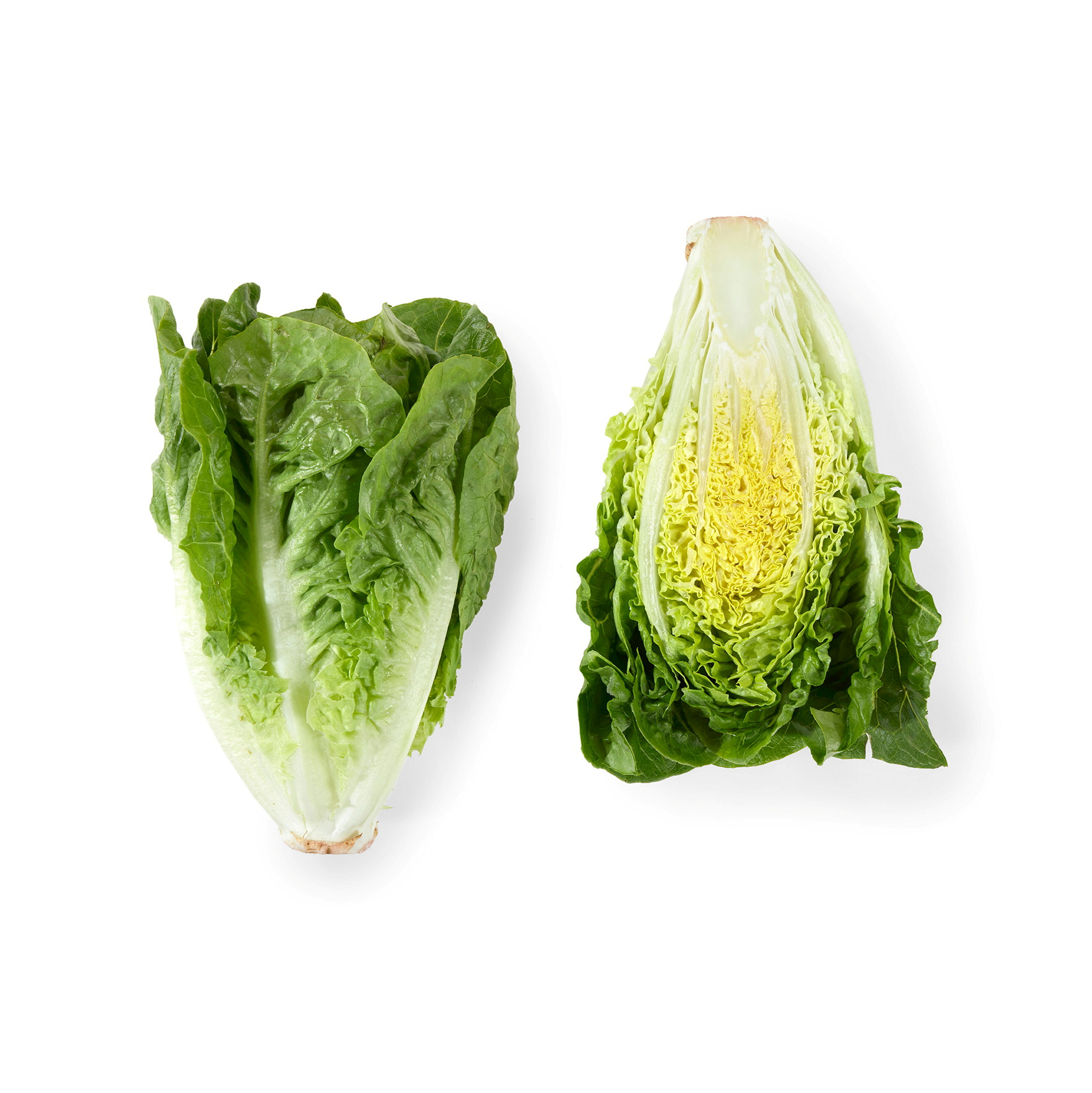 LAVPRIS SALAT HJERTESALAT 1,5K