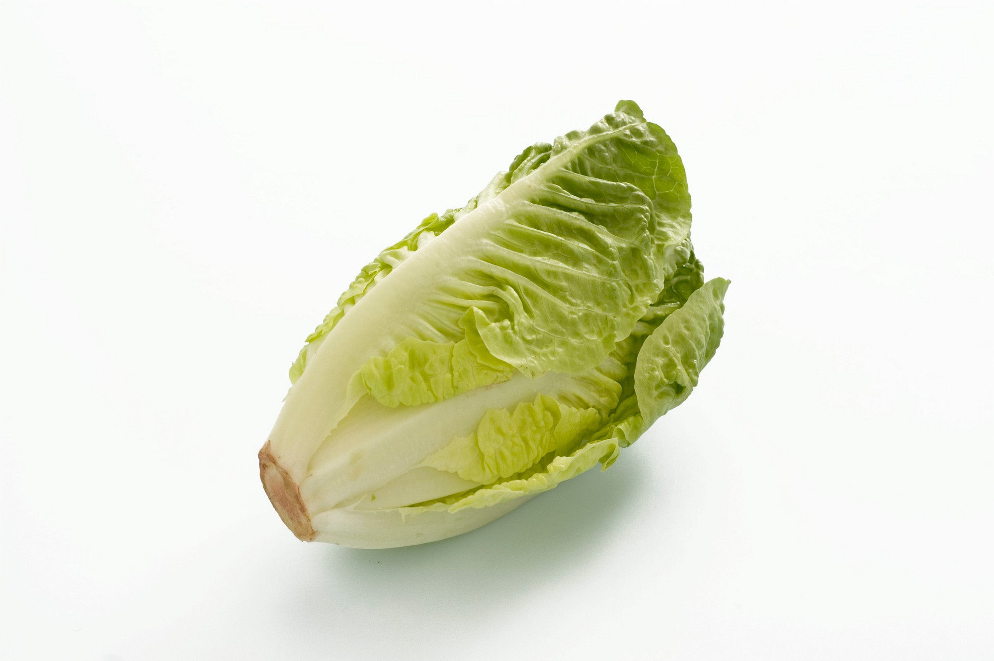 LAVPRIS SALAT HJERTESALAT 1,5K