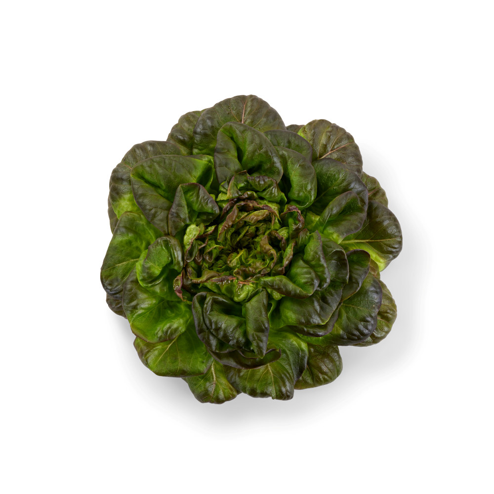 ONNA SALAT BIG RED BUTTER