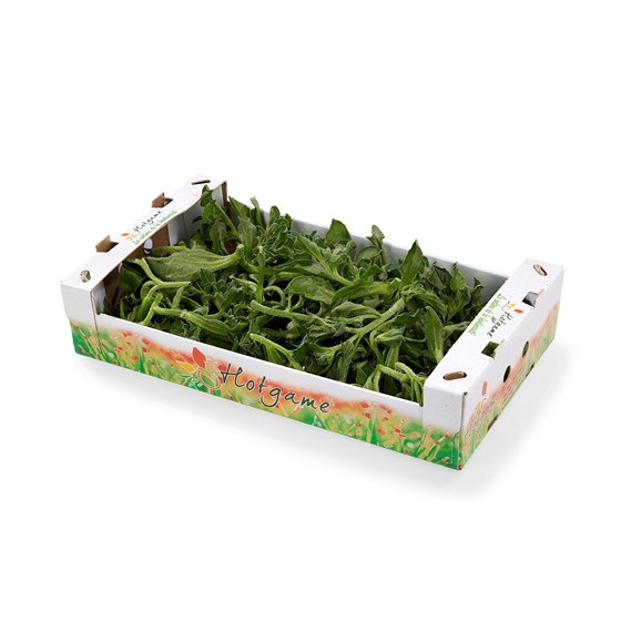 SALAT ICE SALAD 1 KG
