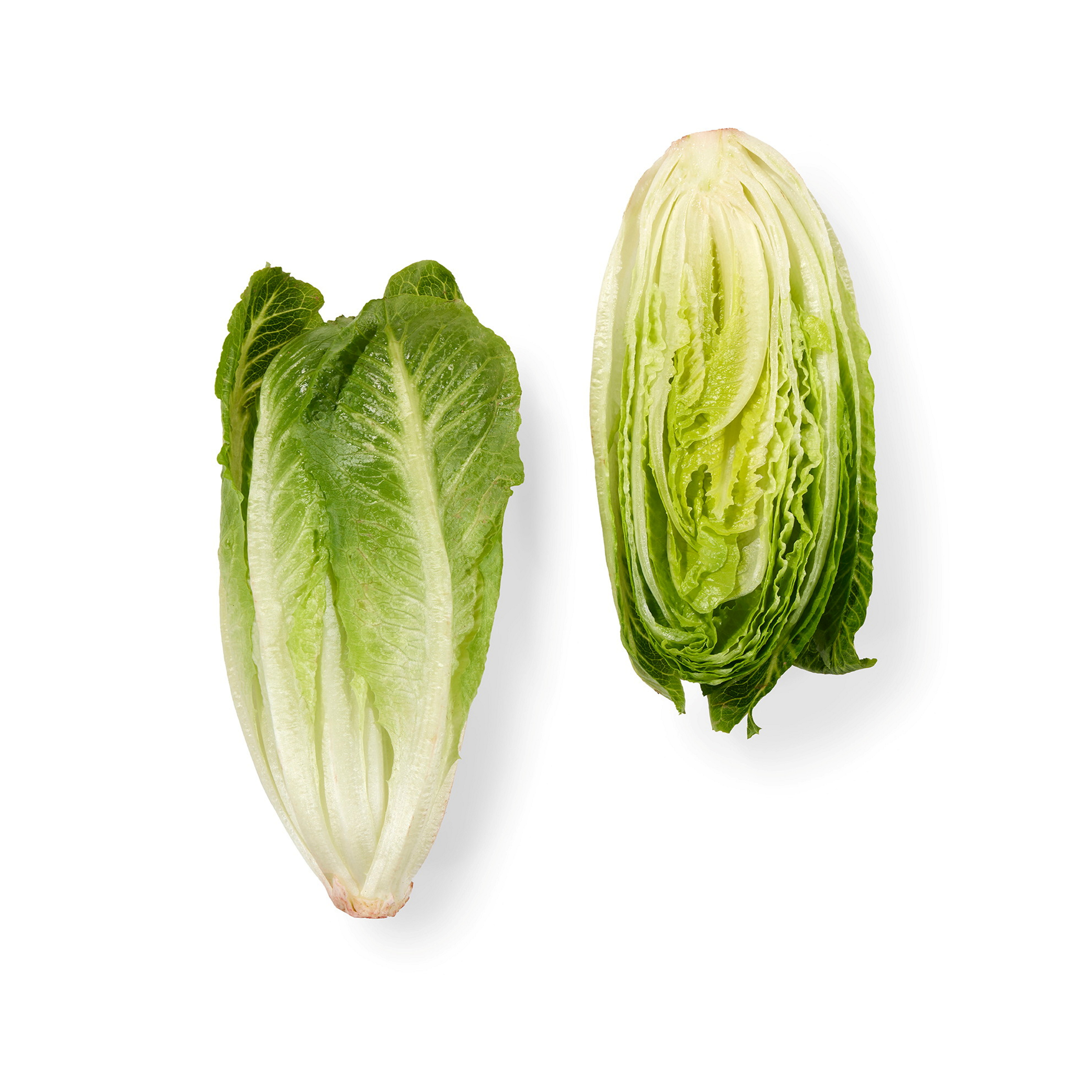 SALAT CRUNCHITA 9x4 PK 500 GR