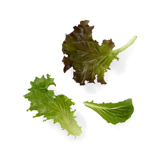 SALAT RENHØSTA B&H MIKS 5x250G