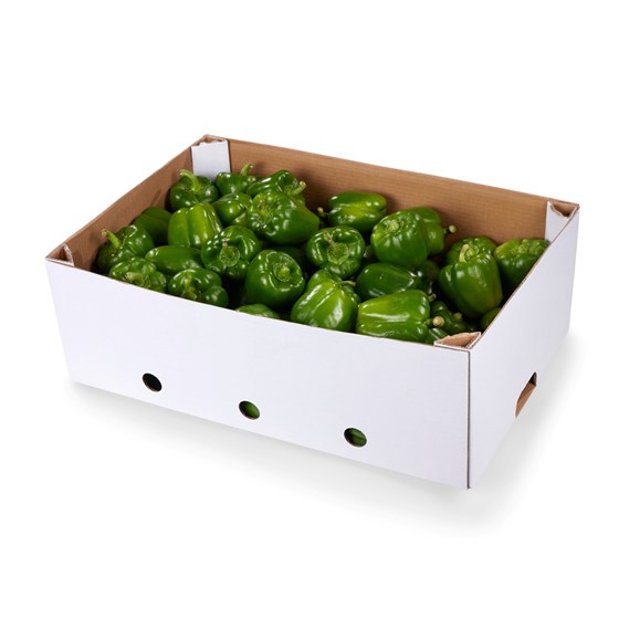 LAVPRIS PAPRIKA GRØNN 10 KG