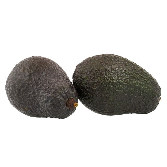 AVOCADO MODEN 2PK